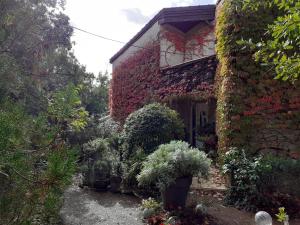 uma casa com plantas ao lado dela em La Bergerie em Lagarrigue