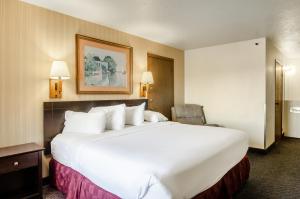 Postel nebo postele na pokoji v ubytování Americas Best Value Inn & Suites Ft Collins E at I-25