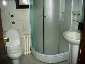 y baño con ducha, aseo y lavamanos. en Studios Šumska Kuća 1, en Kopaonik