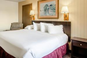 a hotel room with a large bed and a large mirror at Americas Best Value Inn & Suites Ft Collins E at I-25 in Fort Collins