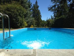 una piscina de agua azul en un patio en Cabaña Los Abetos 3 en El Bolsón
