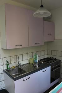 una cucina con lavandino e piano cottura di Vacantara a Pisa