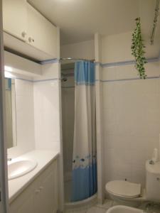 een badkamer met een douche, een toilet en een wastafel bij Luxury apartment in Port Grimaud in Grimaud