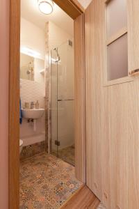 a bathroom with a shower and a sink and a toilet at Piast Apartament in Kraków