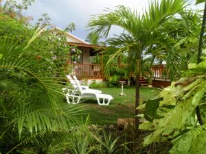 a yard with two white chairs and a palm tree at The Pool House in Saint Philip