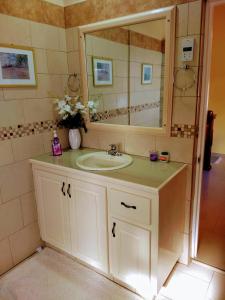 a bathroom with a sink and a mirror at BenCastle Villa in Gros Islet