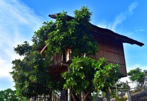 Gallery image of Kamp Aninipot in Siquijor