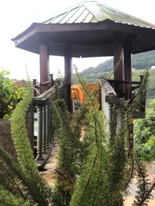 皮金斯奈斯特酒店外面的花园