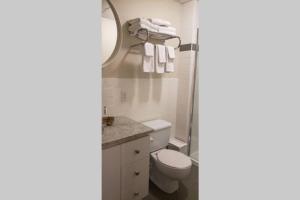 a bathroom with a toilet and a sink and a mirror at 1-Bedroom Mi Casita by Amazing Property Rentals in Gatineau