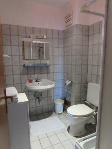 a small bathroom with a toilet and a sink at Gästehaus Barbara in Gablitz