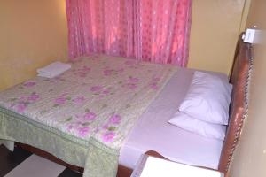 a bedroom with a bed with a pink curtain at The Dreamer Hotel in Dar es Salaam