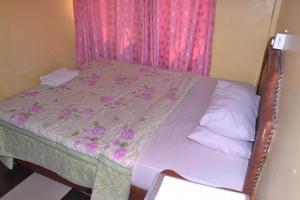 a bedroom with a bed with a pink curtain at The Dreamer Hotel in Dar es Salaam
