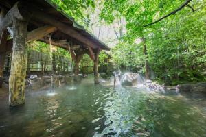 a pond in a garden with a water fountain at inn NOSHIYU in Minamioguni +49 photos