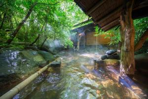 un arroyo en medio de un bosque en inn NOSHIYU en Minamioguni