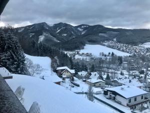 a village covered in snow with a lake and mountains at Lambach Villa Appartament 2 in Mürzzuschlag