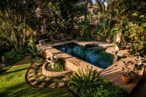 a backyard with a swimming pool and a yard with trees at Terra Casa Guesthouse in Rustenburg
