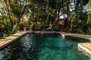 a swimming pool in a yard with trees at Terra Casa Guesthouse in Rustenburg