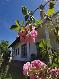 a house with pink flowers in front of it at Tia Du Homestay in Da Lat