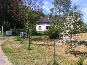 a white house with a fence and a flowering tree at La grange in Alluyes