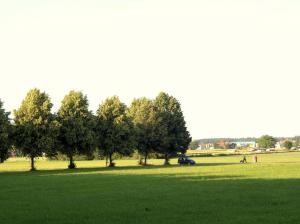 a park with trees and a car in a field at Best Breakfast - Hotel Justina in Bad Wörishofen