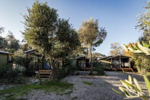un gruppo di cottage con alberi sullo sfondo di Oasi Camping a Diano Marina
