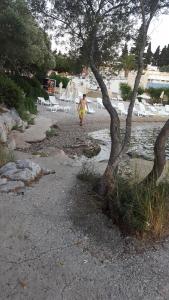 Fotografie z fotogalerie ubytování Apartments Lejla Korčula v destinaci Korčula