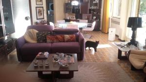 a cat standing in a living room with a couch at Gioiello sul mare in Ospedaletti