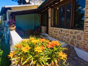Zahrada ubytování Ermones Emerald Villa