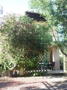 una casa con un banco delante de un árbol en Deiana's Apartment - Cardedu Beachside, en Cardedu