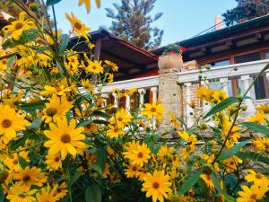 Zahrada ubytování Ermones Emerald Villa