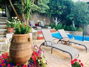 Zahrada ubytování Ermones Emerald Villa