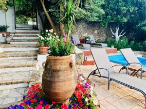 Zahrada ubytování Ermones Emerald Villa