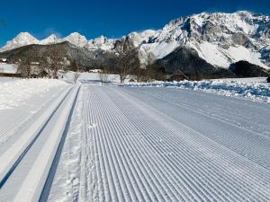 Bergkristallhaus v zime
