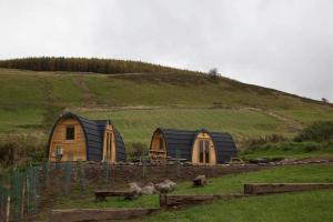 twee hutten op een heuvel met schapen in een veld bij Isla Pod, Kilry eco pods in Blairgowrie