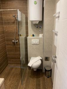 W łazience znajduje się toaleta i przeszklony prysznic. w obiekcie Mount Apartments Milmari w mieście Kopaonik