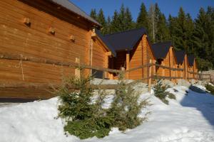 冬天的Resort Skrivena