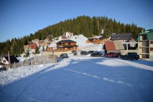冬天的Resort Skrivena