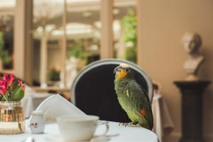 a bird sitting on a table in front of a mirror at Grand Palace Hotel - The Leading Hotels of the World in Riga