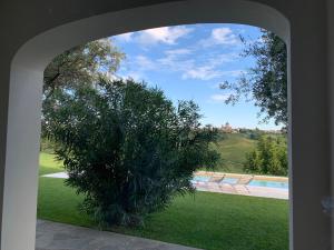 un arco che conduce a una piscina con un albero di Laficaia a Mombaruzzo