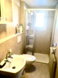 a bathroom with a shower and a toilet and a sink at Alpen-Sonne in Sankt Niklaus