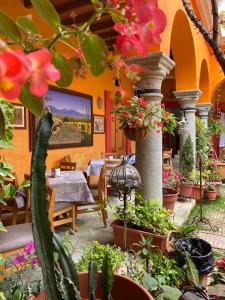 a patio with a table and some plants and flowers at Los Arrayanes in Oaxaca City