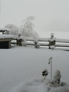 Pension Lärchenbrunn v zimě