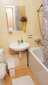 ein Badezimmer mit einem Waschbecken, einer Badewanne und einem WC in der Unterkunft Birch view apartment in Jelgava