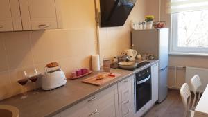 Fotografie z fotogalerie ubytování Birch view apartment v destinaci Jelgava