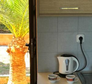 - un comptoir de cuisine avec une cafetière et un vase dans l'établissement Makis Apartments, à Siteía
