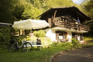 a bike parked in front of a house with an umbrella at Haus 2 - Typ B (Blockhaus) in Schönecken