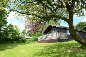 una casa en un campo de hierba junto a un árbol en Avallon Lodges en Launceston