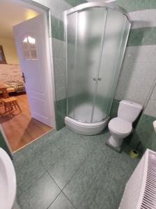 een badkamer met een toilet en een glazen douche bij Dom pod Winogronem in Szczawnica