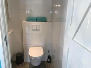 a small bathroom with a white toilet in it at Mikasabeach in Zandvoort