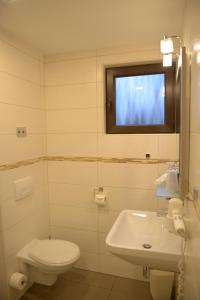 een badkamer met een toilet, een wastafel en een raam bij Hotel- Landgasthof Baumhof-Tenne in Marktheidenfeld